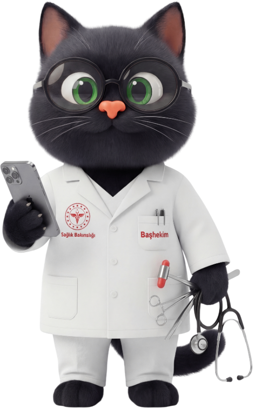 Başhekim — Medikal Web Tasarım